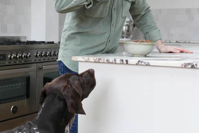 Liam taste tests all his dog food recipes