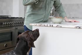 Liam taste tests all his dog food recipes