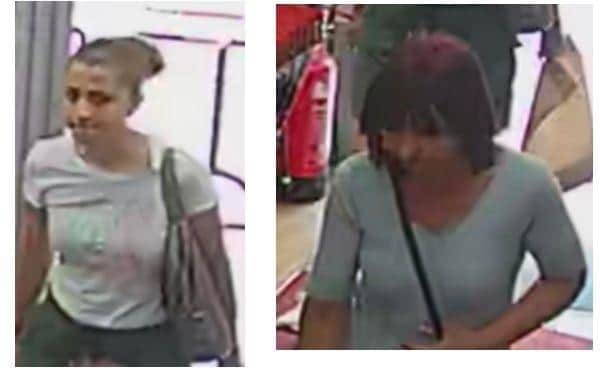 Picture released as police seek two women after 80-year-old has purse ...
