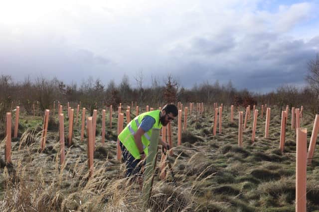 Planting trees at the Forest of Marston Vale