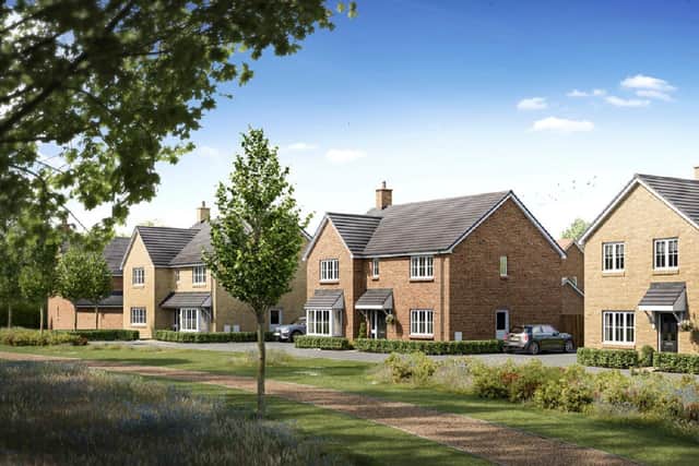 Saxon Park - Final Phase