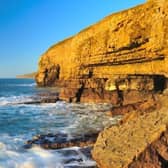 Guillemot Ledge is the highest section of cliff along the Swanage coastline