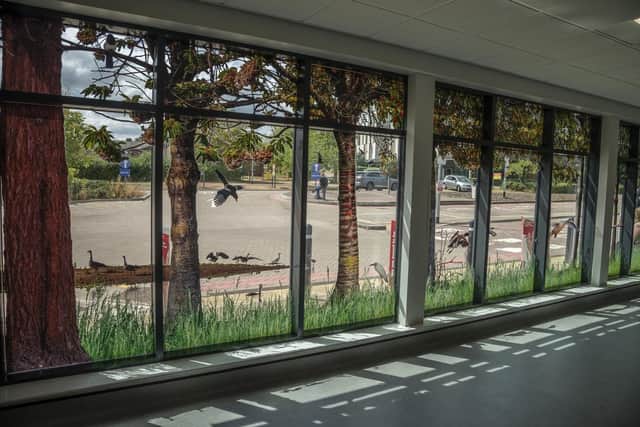 'Inside Out' shows an MK landscape in 240 separate frames and was commissioned or the opening of the new main entrance of Milton Keynes hospital in 2018