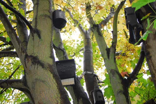 The developers are building special bat boxes on their housing sites