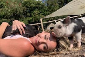 Adults can also benefit from spending time with animals - Animal News Agency