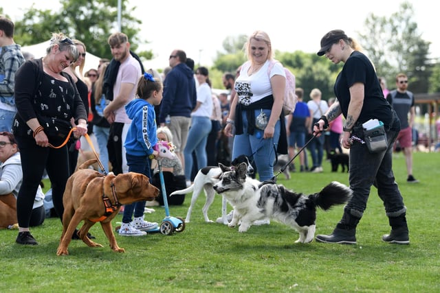 This year’s event offered lots to do and see with more than 30 vendors selling dog-related goodies
