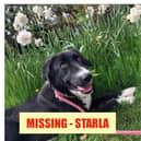 Have you seen Starla?