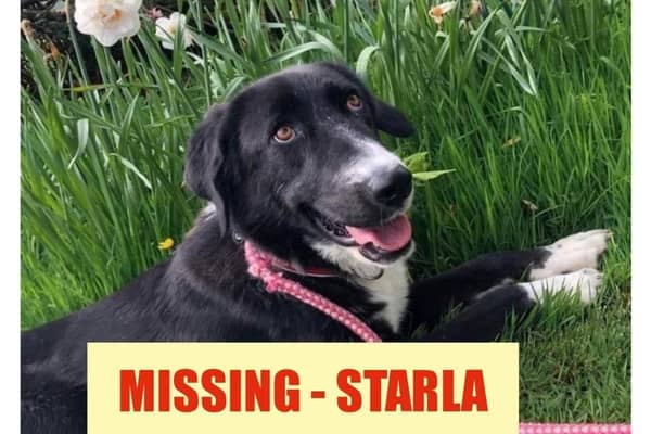 Have you seen Starla?
