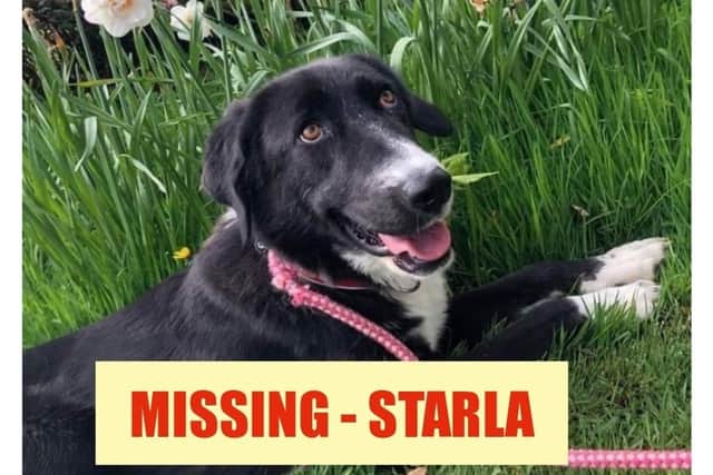 Have you seen Starla?