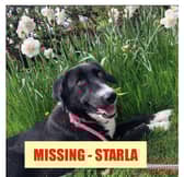 Have you seen Starla?