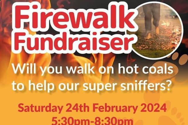 Firewalk Fundraiser: Will you walk on hot coals to help the Super Sniffers? Limited Places available