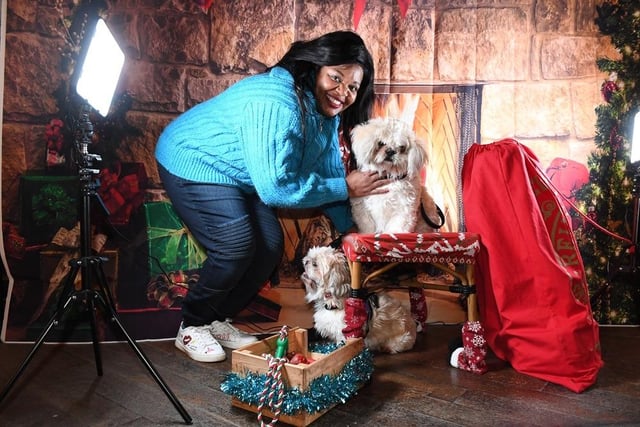 In the picture - these festive pooches were getting ready for their photo opportunity at Santa's Grotto