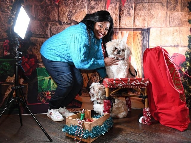 In the picture - these festive pooches were getting ready for their photo opportunity at Santa's Grotto