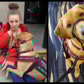 Moose the Labrador saved Leeanne's life