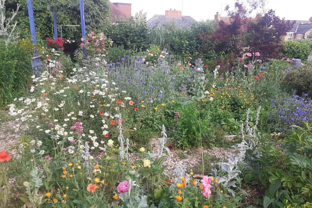 The flower beds at York House Community Garden in Stony Stratford