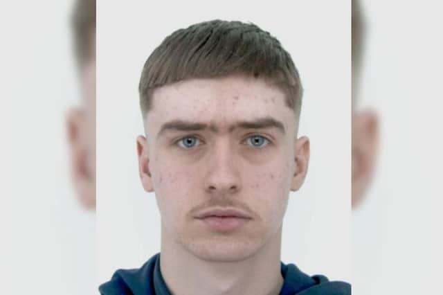 Have you seen him?