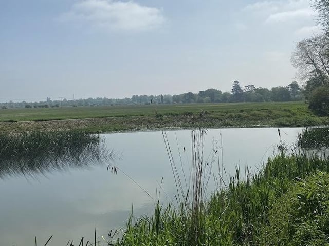 With cleared islands and renovated bird hides, the nature reserve offers nesting grounds and thriving wetland habitats for wildfowl and waders. It's the perfect place to get out for fresh air and to get back to nature.
