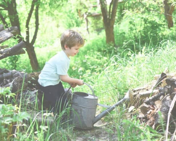 The new school will focus on Forest School principles of outdoor learning