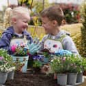Sister and brother duo, Alice (4) and Archie (6,) at Dobbies Garden Centres, taking part in the experience