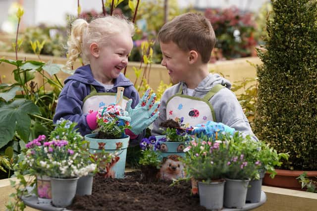 Sister and brother duo, Alice (4) and Archie (6,) at Dobbies Garden Centres, taking part in the experience