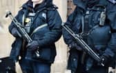 The number of armed officer is set to rise