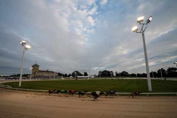 Towcester Racecourse stages the Greyhound Derby on Saturday