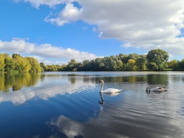 Emberton Country Park offers seclusion and beauty away from the hustle and bustle of city life. You can enjoy wildlife, lakeside walks, play areas, camping and much more 365 days of the year.