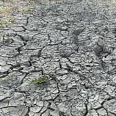 Drought conditions in Milton Keynes' region