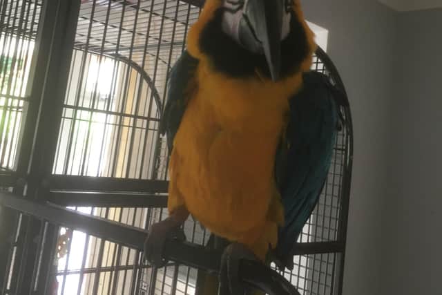 Mia is home safe and sound after a dramatic rescue in Milton Keynes