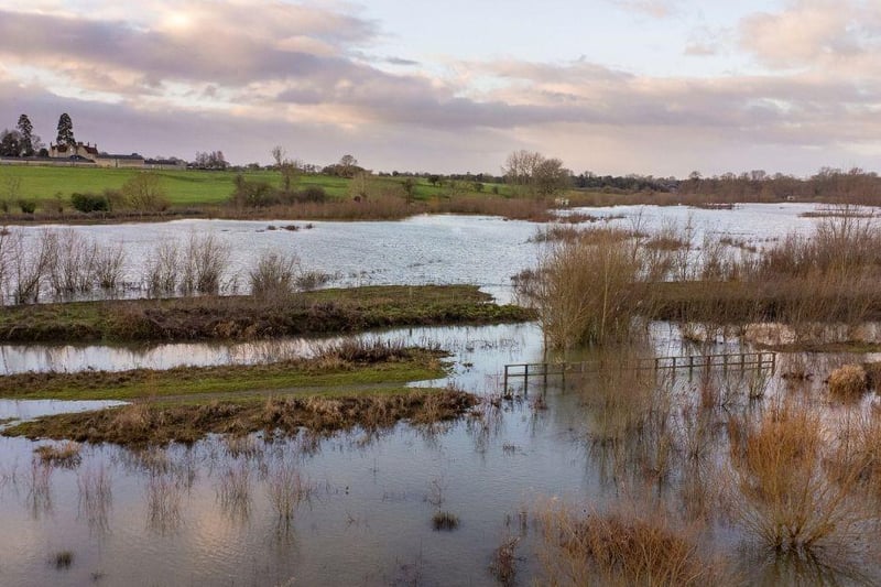 Join a special Discovery Stroll on May 21 at Floodplain Forest Nature Reserve,  a 50 hectare wetland nature reserve beside the River Great Ouse at Old Wolverton. It's packed with rare and interesting things to see.