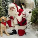 Dogs can see Father Christmas at Dobbies Santa Paws events in Milton Keynes