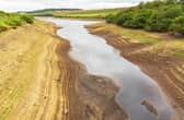 Very low water level (photo: Adobe)