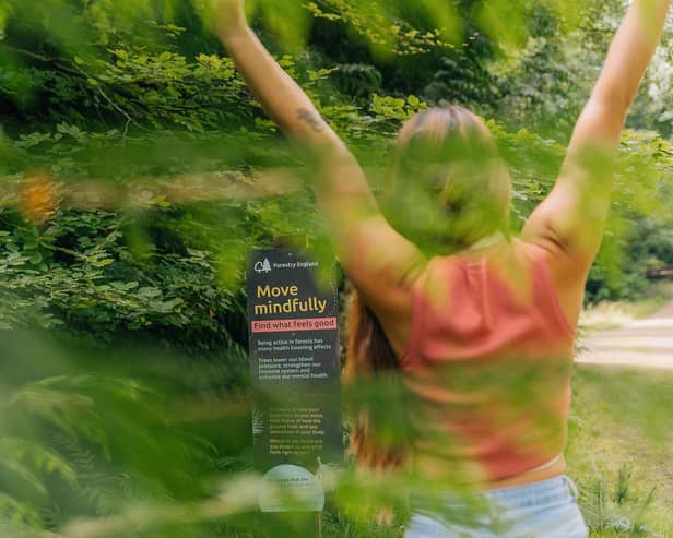 A new wellbeing trail walk has been created at Salcey Forest, a few miles away from Milton Keynes