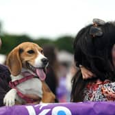 The event attracted dog lovers who enjoyed a pawfect weekend with fun activities and entertainment