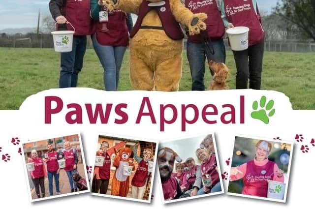 Help support Hearing Dogs charity by raising funds for its Paws Appeal