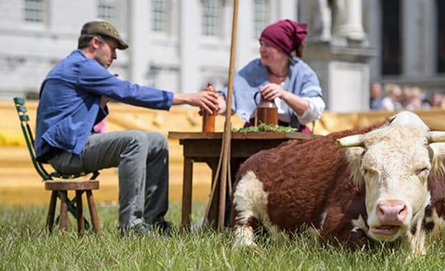 Real life cows will graze at the city centre during the MK's IF festival this summer
