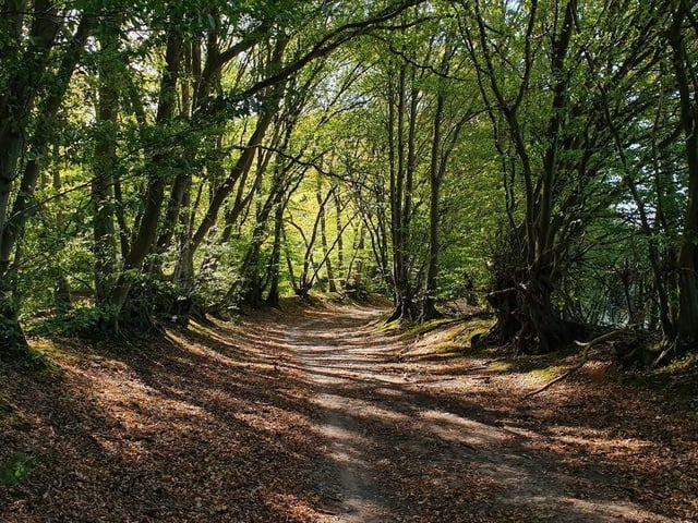 This is a circular walk, along footpaths, red ways and a canal towpath. The walking is easy and accessible year round.