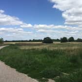 A new rule stating only up to four dogs per person has been imposed  at a popular dog walking area of Newport Pagnell