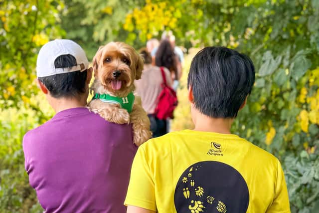 Campaigners are organising guided walks every Sunday starting at 10.30am from the area opposite The Wavendon Arms.