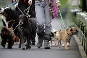 Fewer dog bite wounds have been treated in Milton Keynes hospital