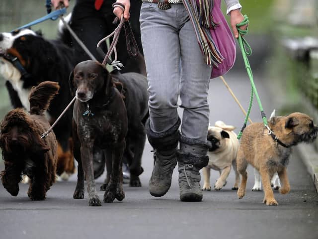Fewer dog bite wounds have been treated in Milton Keynes hospital