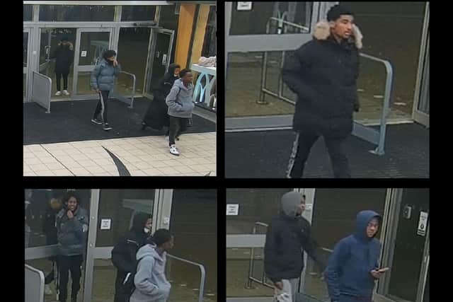 Do you recognise these juveniles?
