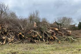 Dozens of trees have been felled at the Westcroft patch of land