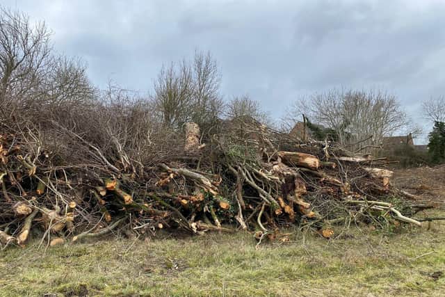 Dozens of trees have been felled at the Westcroft patch of land