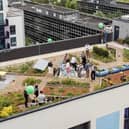 The green rooftop of YMCA MK during the World Green Roof Day event.