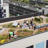 The green rooftop of YMCA MK during the World Green Roof Day event.