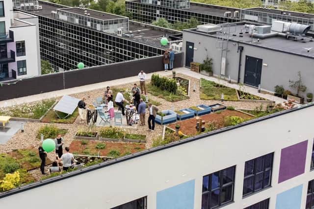 The green rooftop of YMCA MK during the World Green Roof Day event.