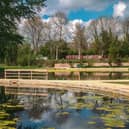 The ponds at Great Linford Manor Park