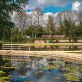 The ponds at Great Linford Manor Park