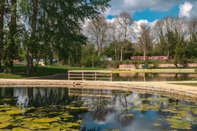 The ponds at Great Linford Manor Park